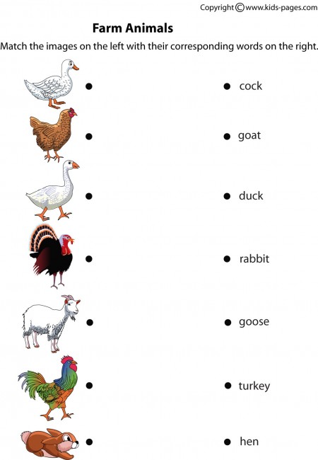 worksheet-on-animals-and-their-babies